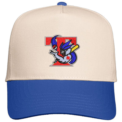 Retro Ice Jays Snapback - Adult