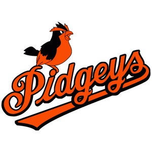 Charm City Birds Collection