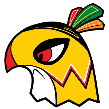 Chi-Town Spirit-Hawks