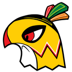 Chi-Town Spirit-Hawks