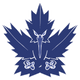 Maple Storm Collection