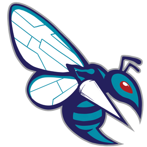 Spectrum Center Swarm
