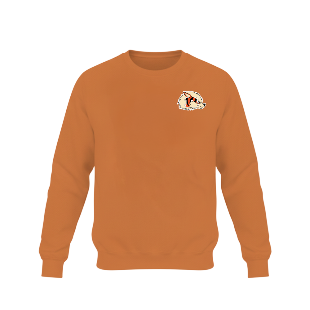 Cincy Flares Embroidered Pullover Sweater - Adult Unisex