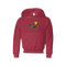 Youth Hoodies