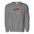 Bayfront Brave Birds Pullover Sweater - Unisex