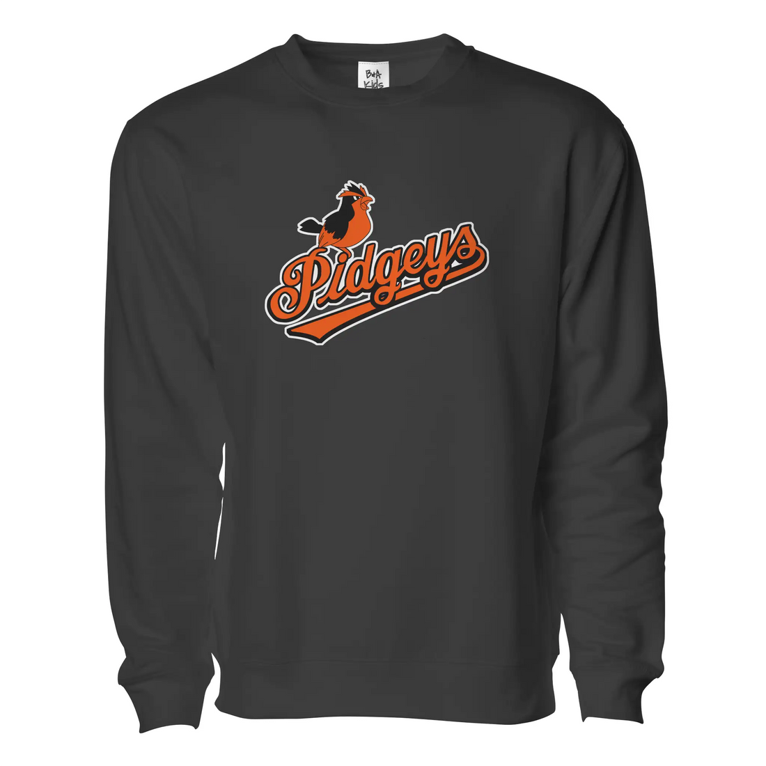 Charm City Birds Pullover - Adult Unisex