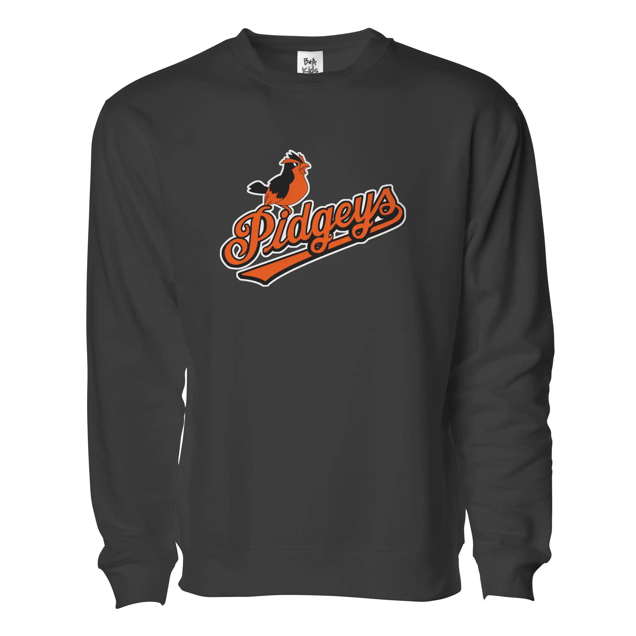 Charm City Birds Pullover - Adult Unisex