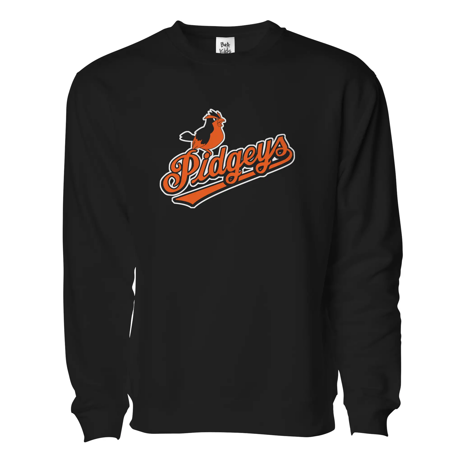 Charm City Birds Pullover - Adult Unisex