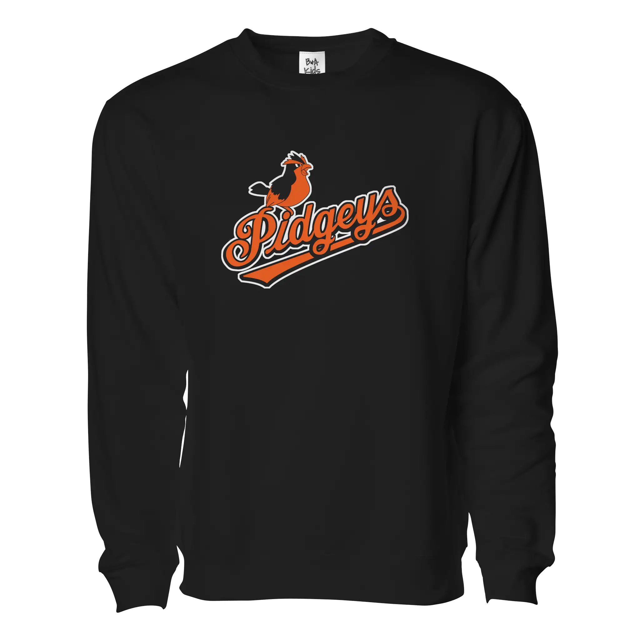 Charm City Birds Pullover - Adult Unisex