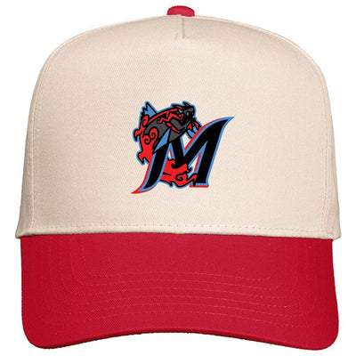 305 Aqua Legion Snapback - Adult
