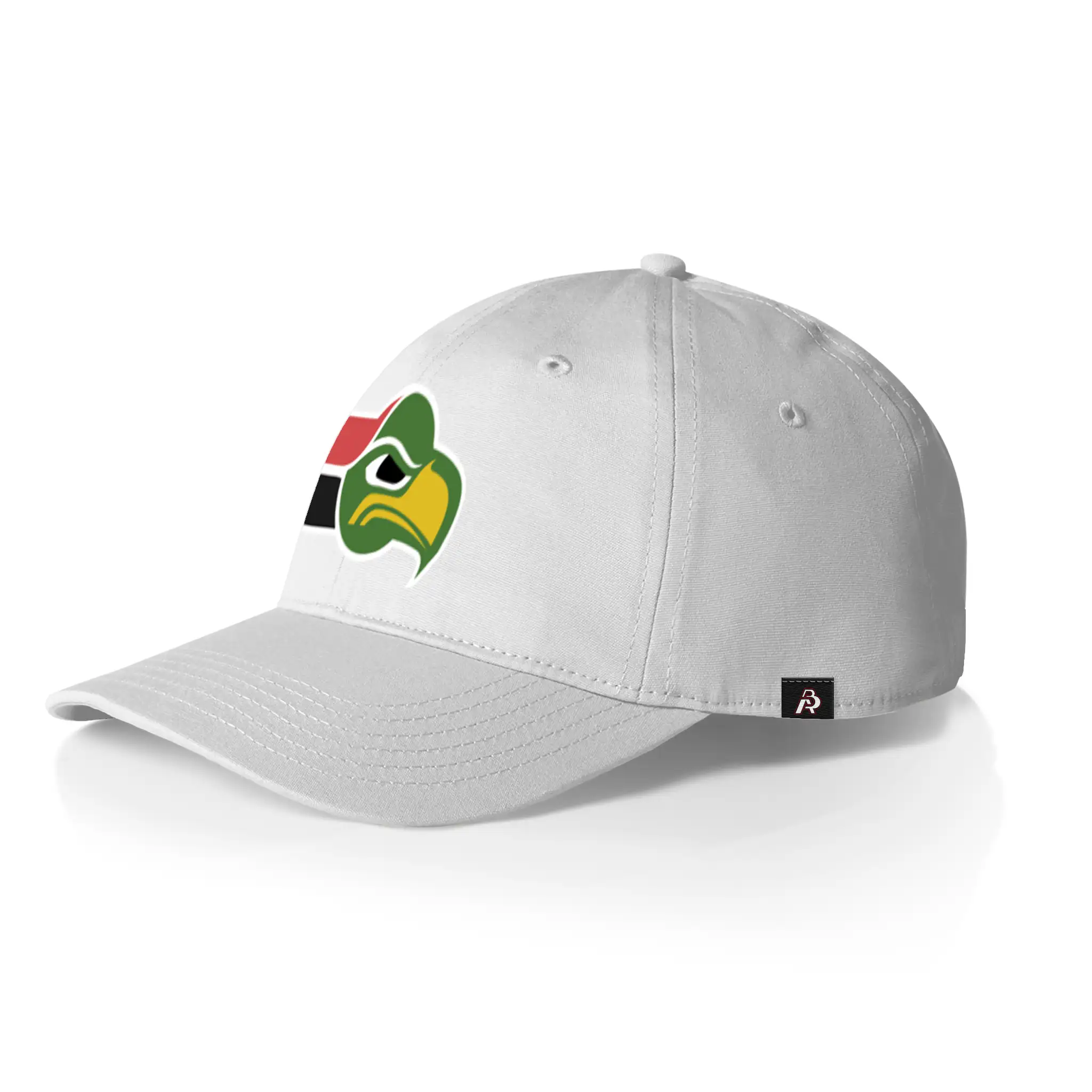 Rain City Psy-Hawks Embroidered Dad Hat