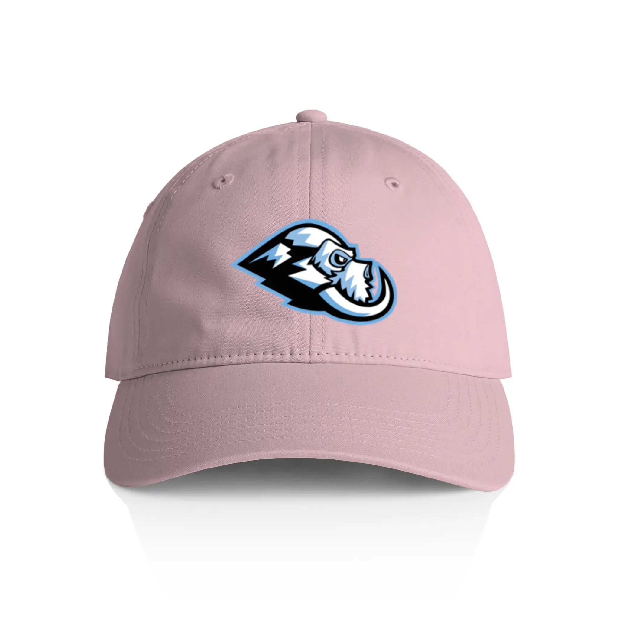 Wasatch Twin Tusks Dad Hat - Adult