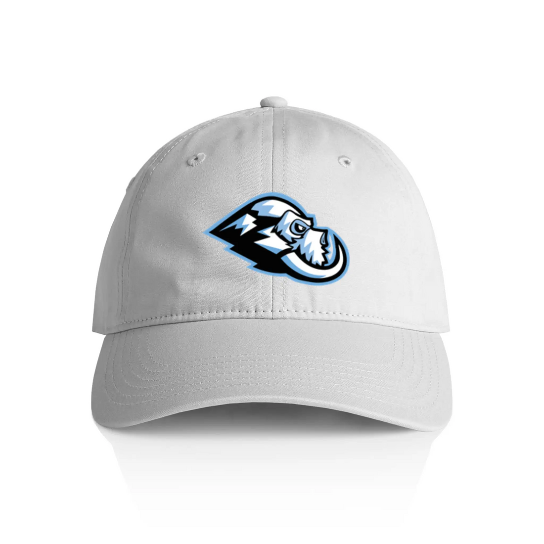 Wasatch Twin Tusks Dad Hat - Adult