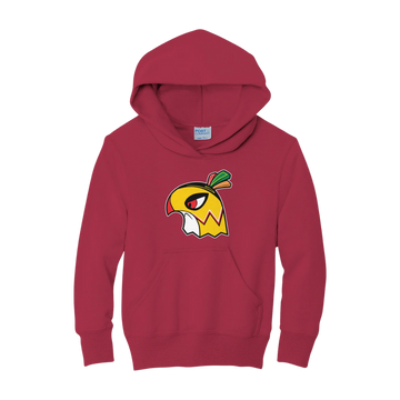 Chi-Town Spirit-Hawks Hoodie - Youth
