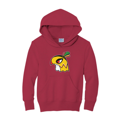 Chi-Town Spirit-Hawks Hoodie - Youth