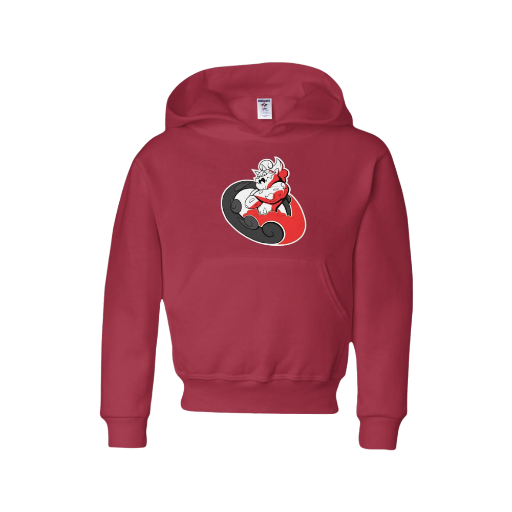 Raleigh Cyclones Hoodie - Youth