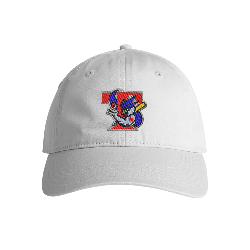 Retro Ice Jays Dad Hat - Adult Unisex