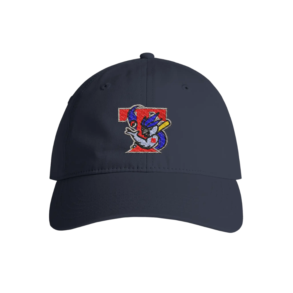 Retro Ice Jays Dad Hat - Adult Unisex