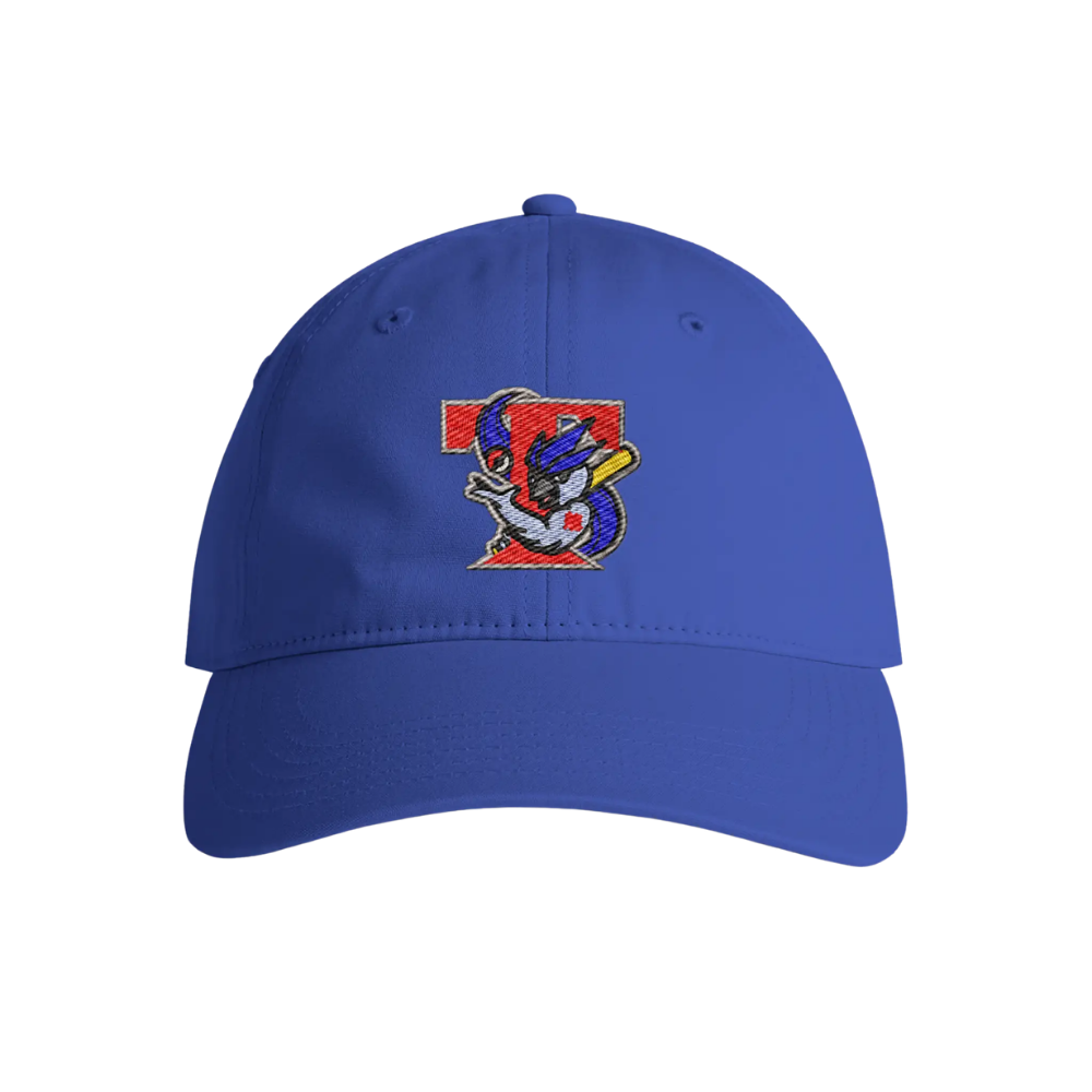 Retro Ice Jays Dad Hat - Adult Unisex