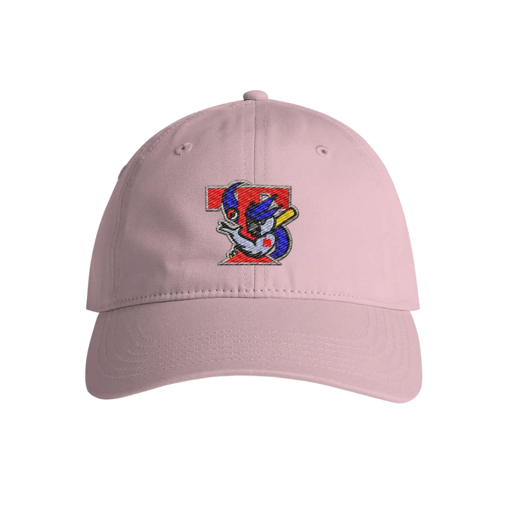 Retro Ice Jays Dad Hat - Adult Unisex