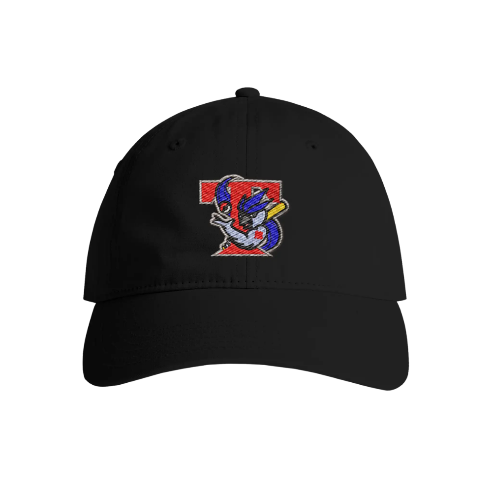 Retro Ice Jays Dad Hat - Adult Unisex