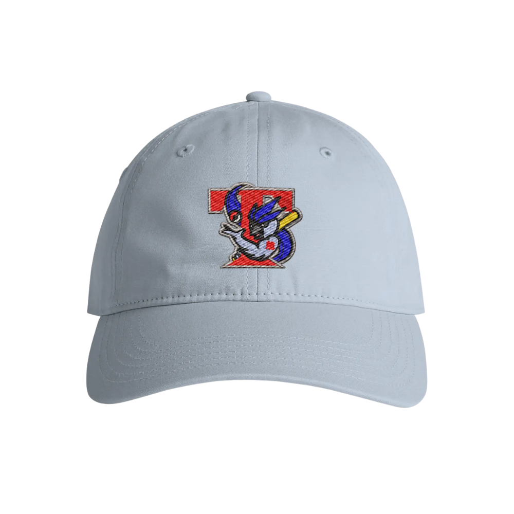 Retro Ice Jays Dad Hat - Adult Unisex