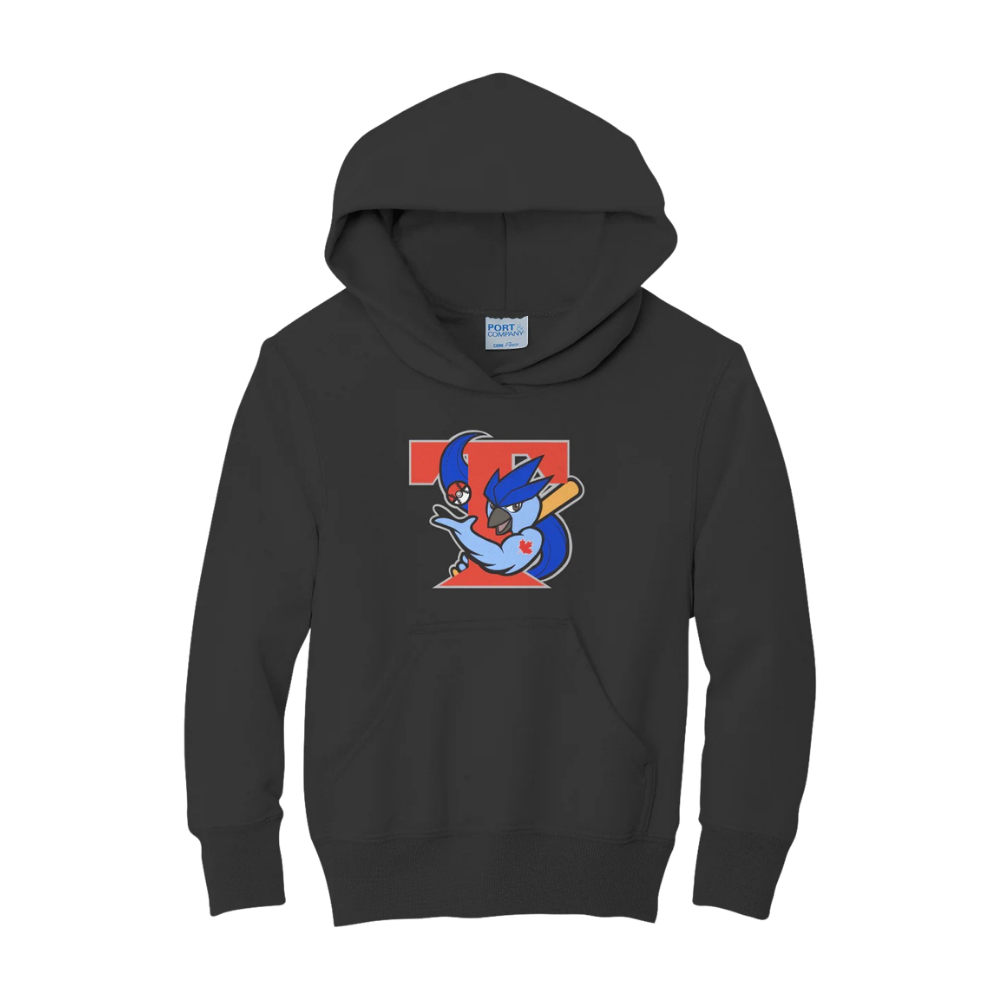 Retro Ice Jays Hoodie - Youth