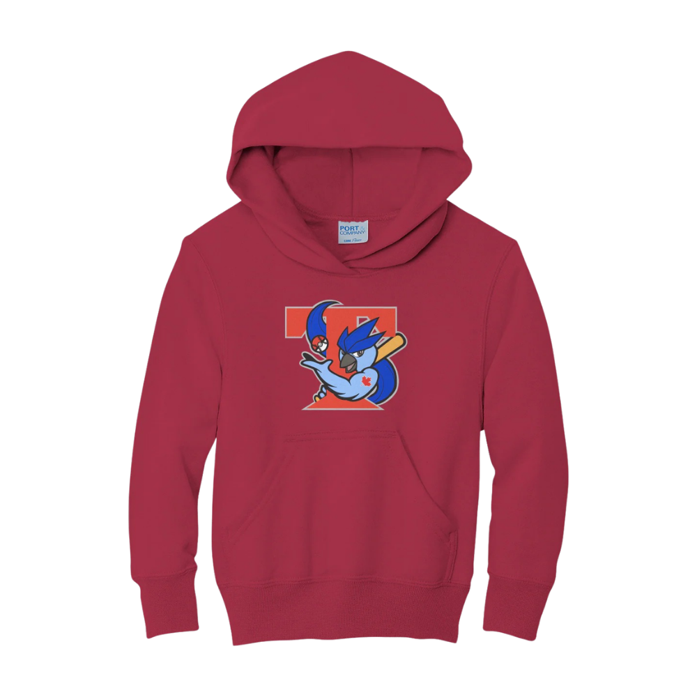 Retro Ice Jays Hoodie - Youth