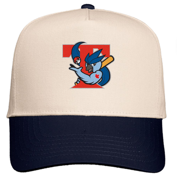 Retro Ice Jays Snapback - Adult