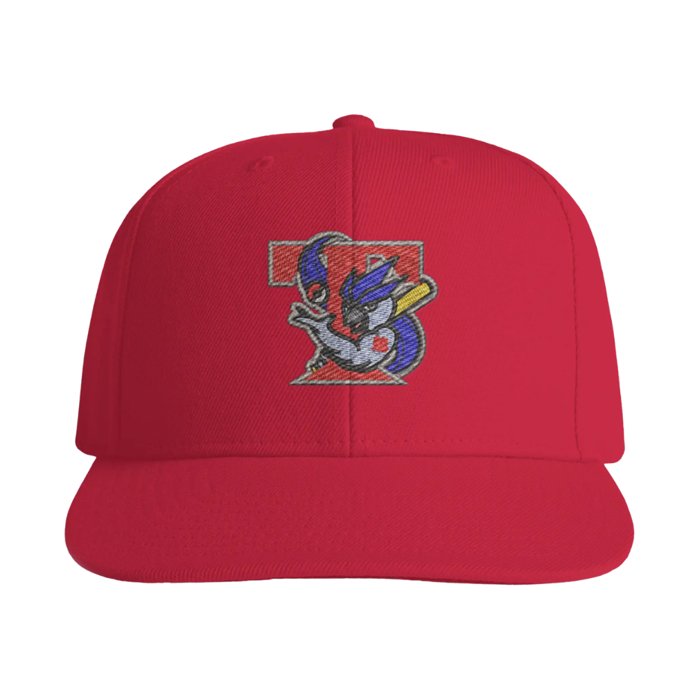 Retro Ice Jays Snapback - Adult