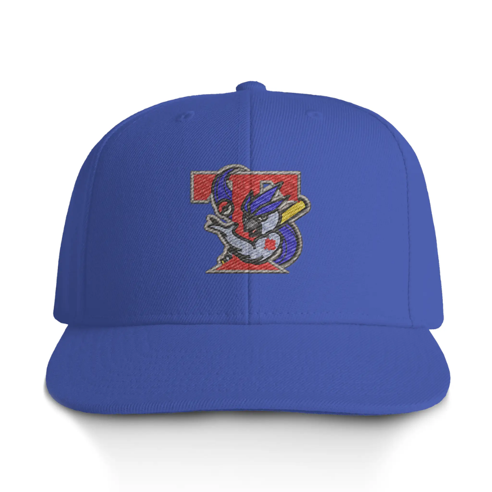 Retro Ice Jays Snapback - Adult