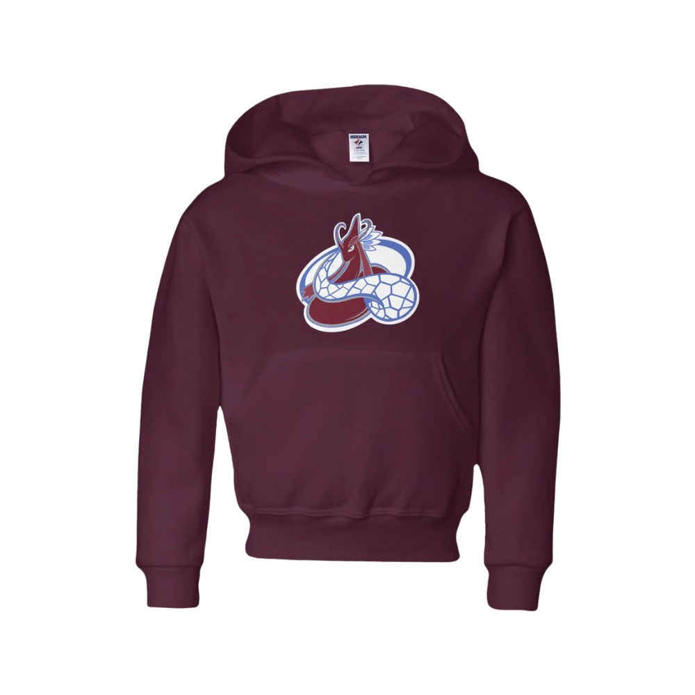 South Platte Icy Scales Hoodie - Youth