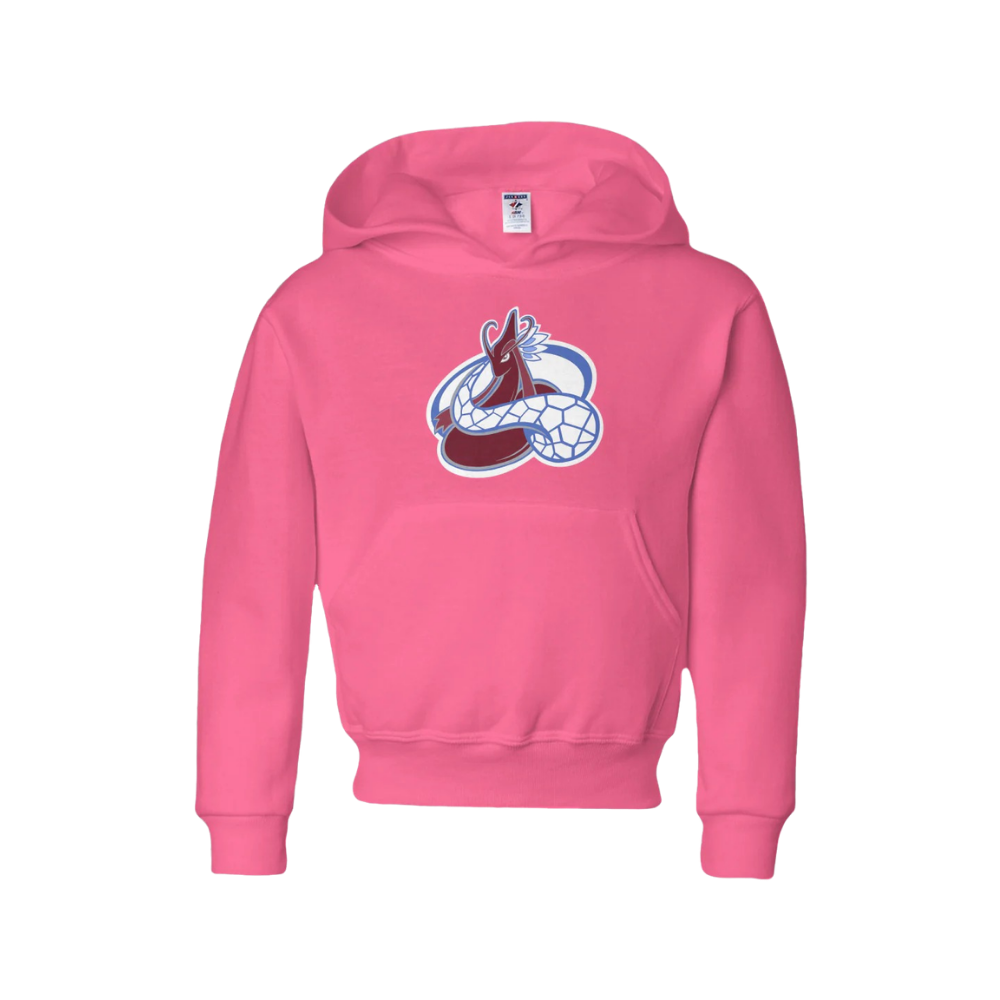 South Platte Icy Scales Hoodie - Youth