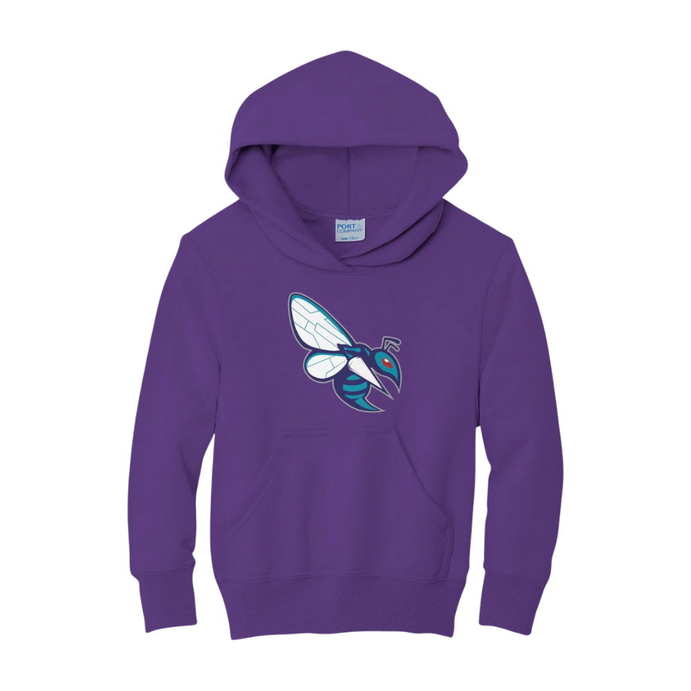 Spectrum Center Swarm Hoodie - Youth