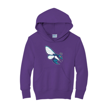 Spectrum Center Swarm Hoodie - Youth