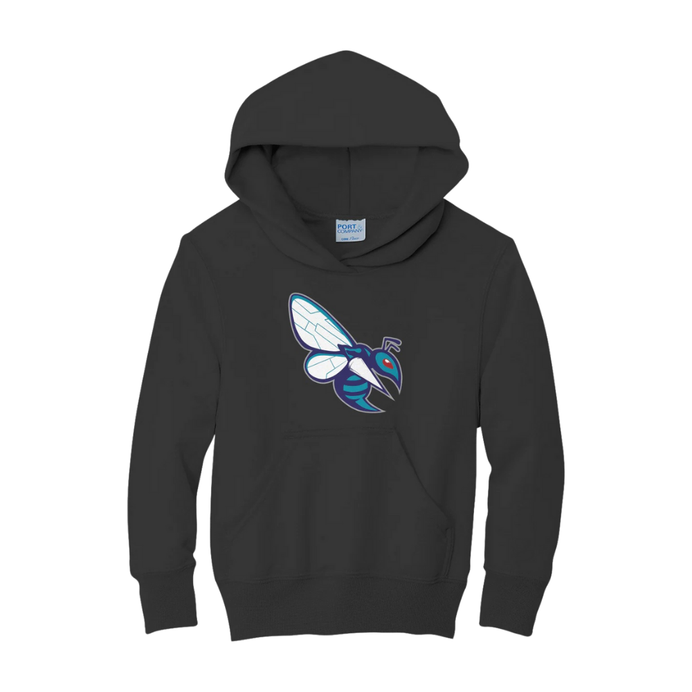 Spectrum Center Swarm Hoodie - Youth