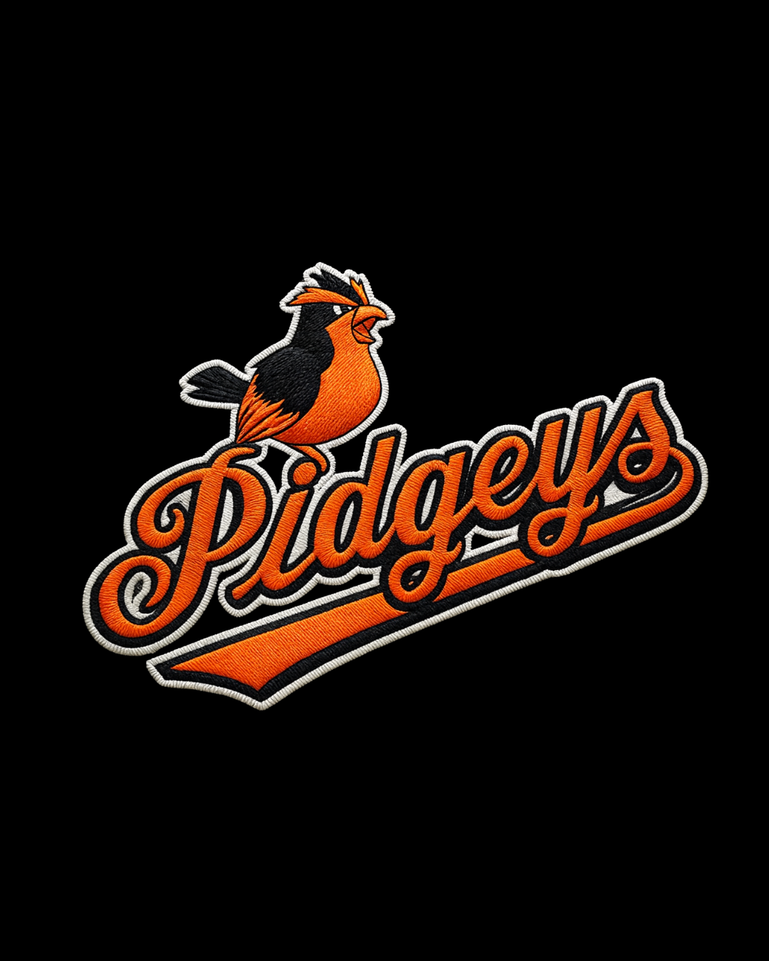 Charm City Birds Embroidered Hoodie - Unisex