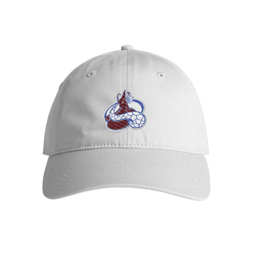 South Platte Sea Serpents Dad Hat - Adult