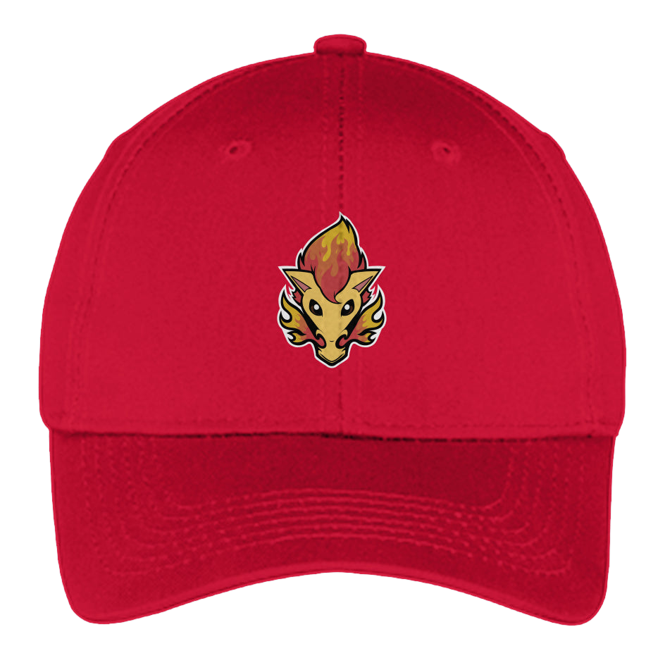 this is a product image