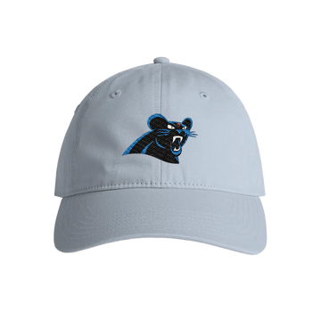 Mint Street Syndicate Dad Hat