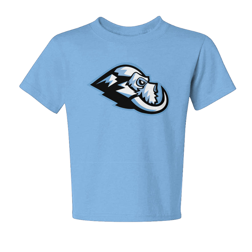 Wasatch Twin Tusks T-Shirt - Youth