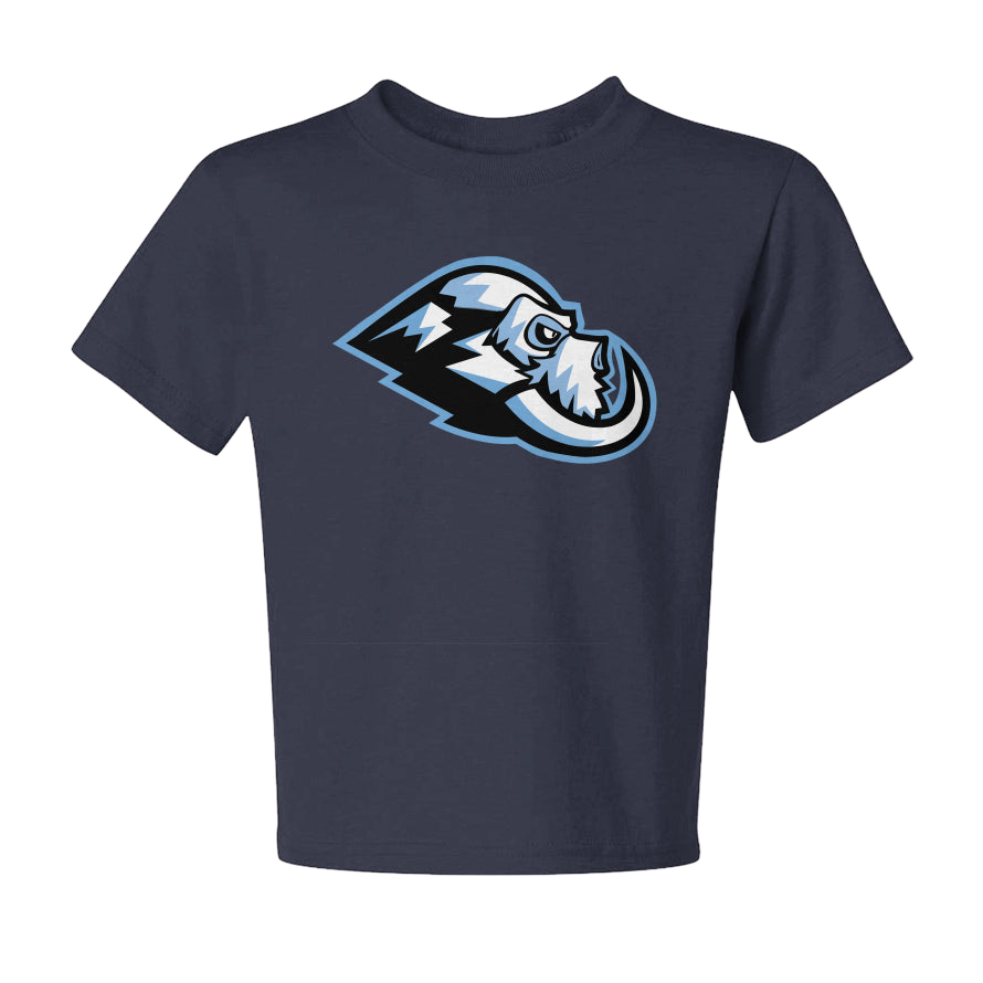 Wasatch Twin Tusks T-Shirt - Youth