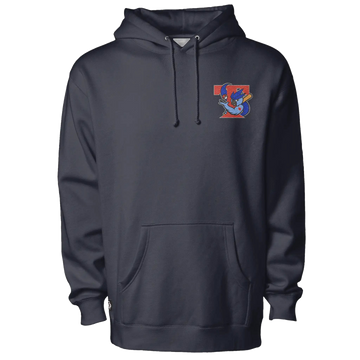 Retro Ice Jays Embroidered Hoodie - Adult Unisex