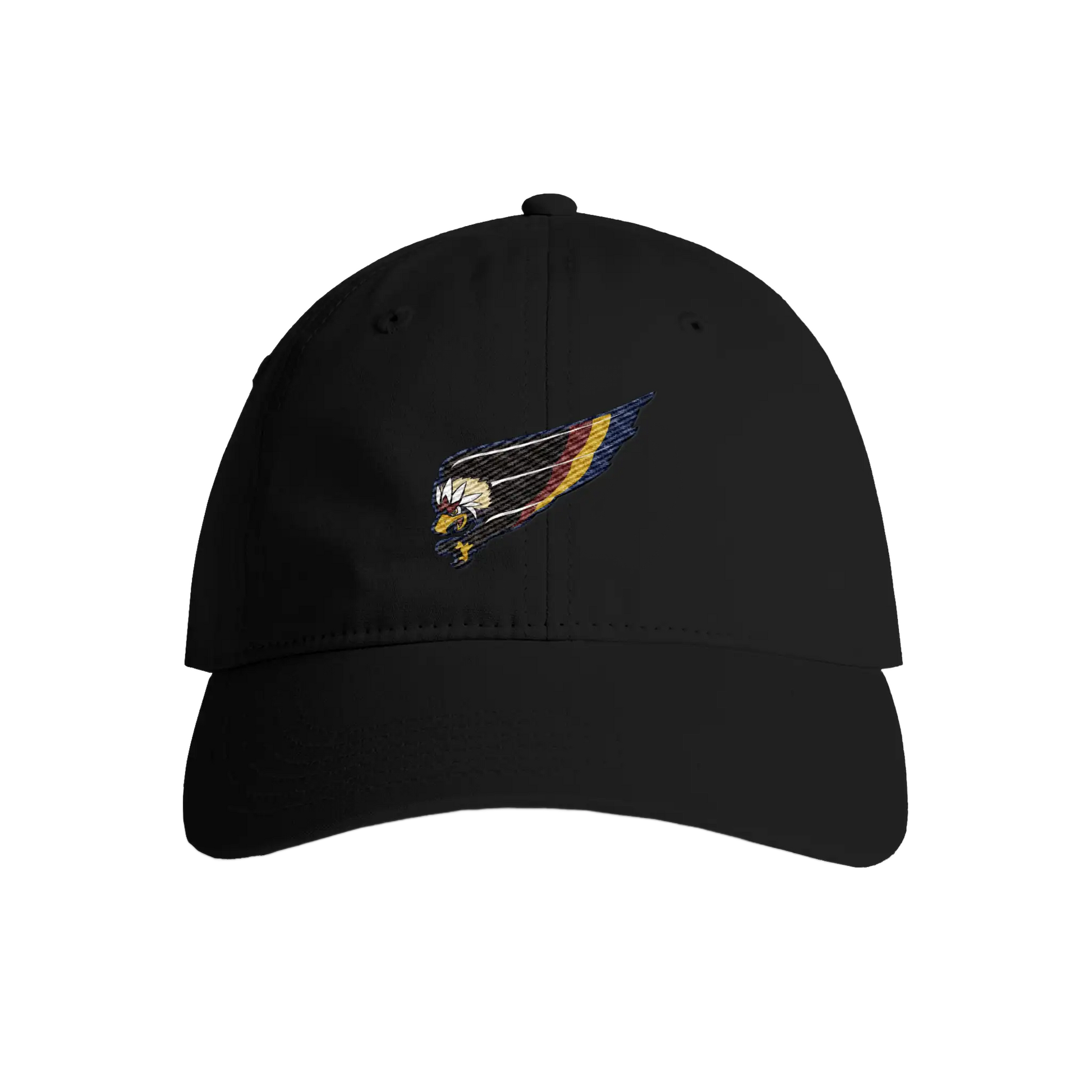 Retro Federal Flight Embroidered Dad Hat