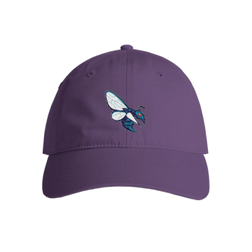 Spectrum Center Swarm Dad Hat - Adult Unisex