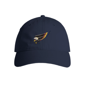 Retro Federal Flight Embroidered Dad Hat