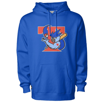 Retro Ice Jays Hoodie - Adult Unisex