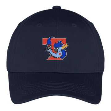 Retro Ice Jays Hat - Youth