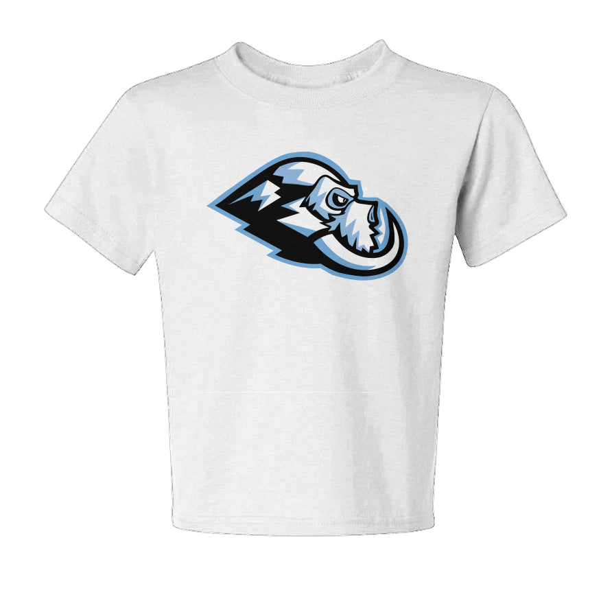 Wasatch Twin Tusks T-Shirt - Youth